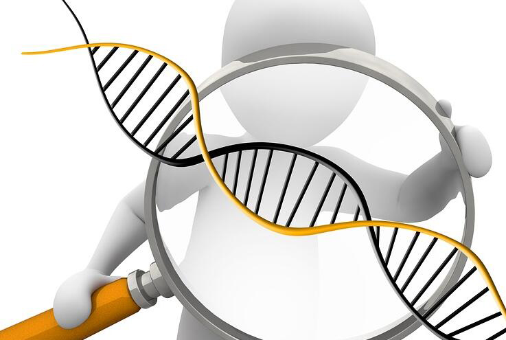 贵阳DNA亲子鉴定机构,贵阳亲子鉴定怎么做